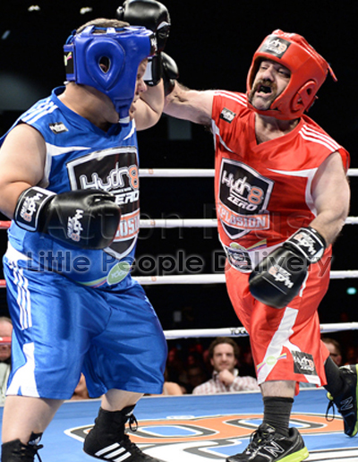 boxing 3