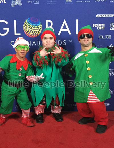 elf 2