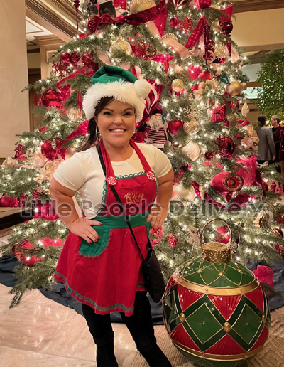 elf 6