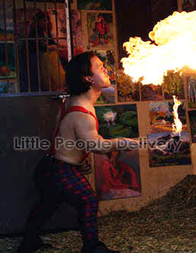 fire blower 1