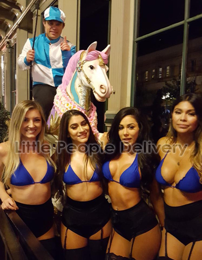 horse jockey 1