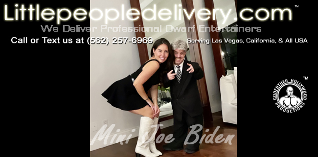 Mini Joe Biden