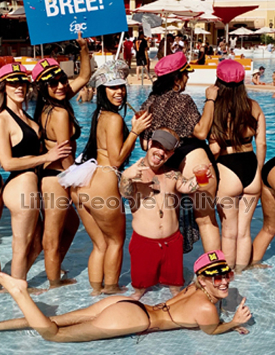 lifeguard 2