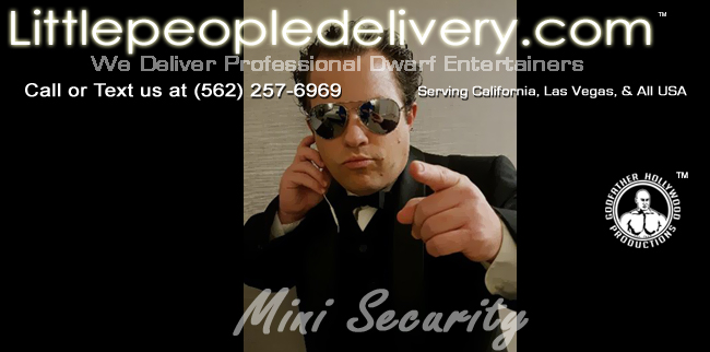 Mini Security