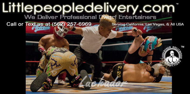 Luchador