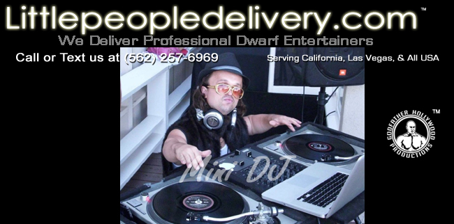 mini dj