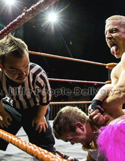 referee 1