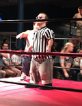 referee