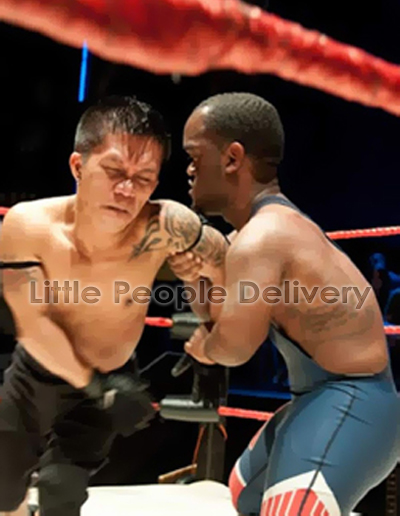 wrestlers 1