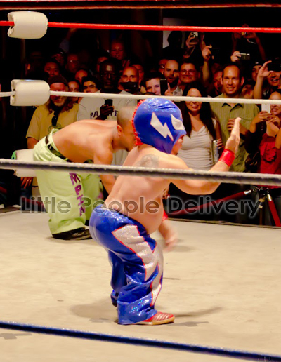 wrestler 2